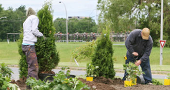 Mantenimiento Zonas Verdes y Jardines